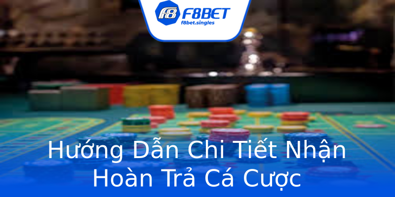 Hướng Dẫn Chi Tiết Nhận Hoàn Trả Cá Cược Hướng Dẫn Chi Tiết Nhận Hoàn Trả Cá Cược