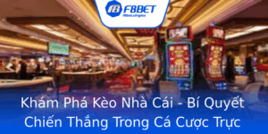 Kham Pha Keo Nha Cai Bi Quyet Chien Thang Trong Ca Cuoc Truc Tuyen