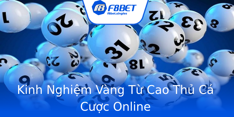 Kinh Nghiệm Vàng Từ Cao Thủ Cá Cược Online Kinh Nghiệm Vàng Từ Cao Thủ Cá Cược Online